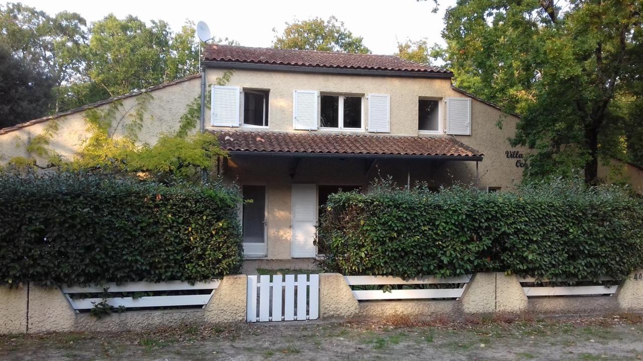 Appartement Soulac Sur Mer A 500 M De La Plage N 5 Εξωτερικό φωτογραφία